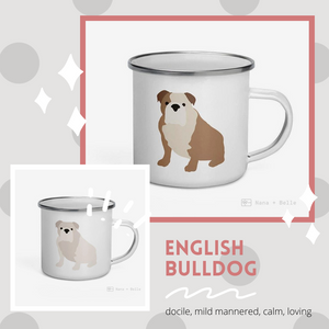 Meet our furry friend - The Bulldog, the English Bulldog, British Bulldog