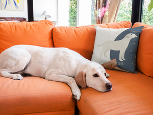 Labrador Abstract Pattern Cushion For Lab Lovers Chair & Sofa Cushions