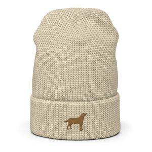 Chocolate Labrador embroidered waffle beanie