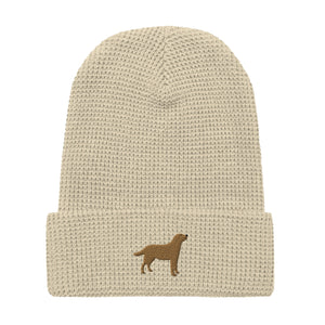 Chocolate Labrador embroidered waffle beanie