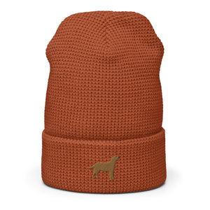 Chocolate Labrador embroidered waffle beanie